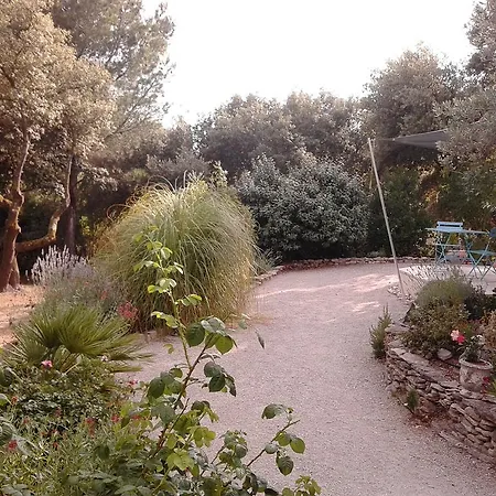 Les Florides