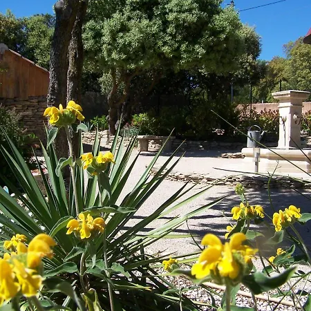 Les Florides L'Isle-sur-la-Sorgue